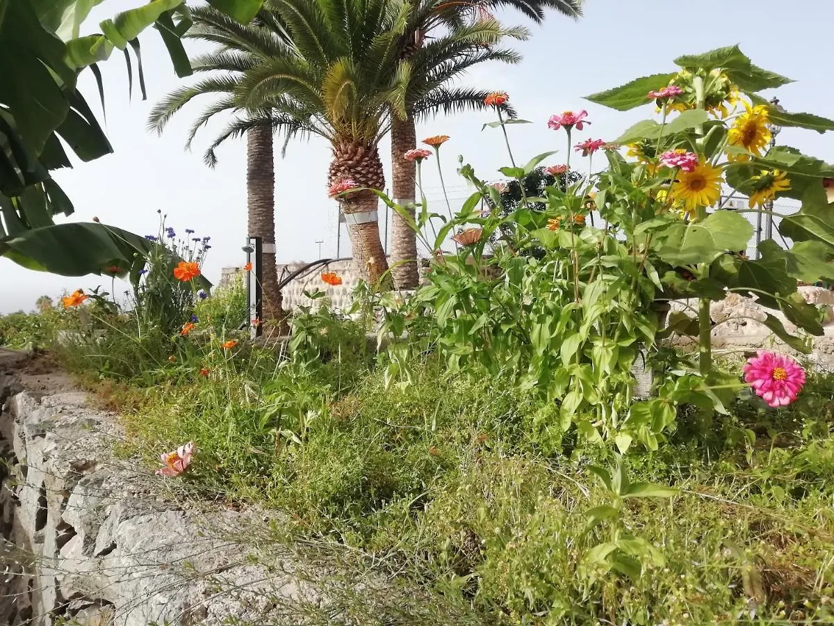 Finca Las Tapias, Casa Mane Puerto de la Cruz  Holiday home
